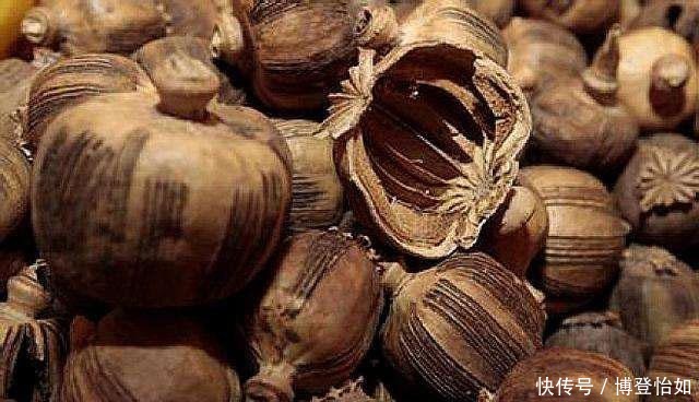 历史的教训:中国茶叶曾远销全球,如今却连1%的市场份额都不到