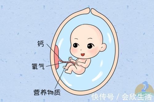 dh怀孕了到底应该怎么补？这五类营养素孕期必备，对照着补不出错