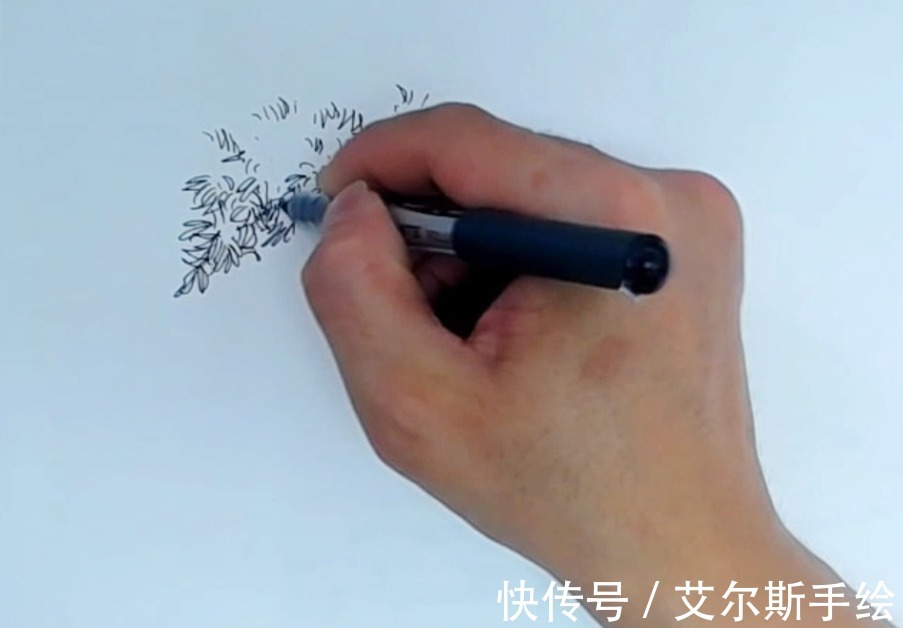 颜色|「艾尔斯马克绘」用马克笔如何画出栩栩如生的植物呢？