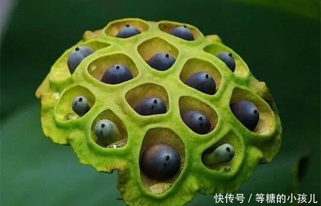 曾国藩|人生,将要走下坡路,往往会有这2个征兆,要多加注意!