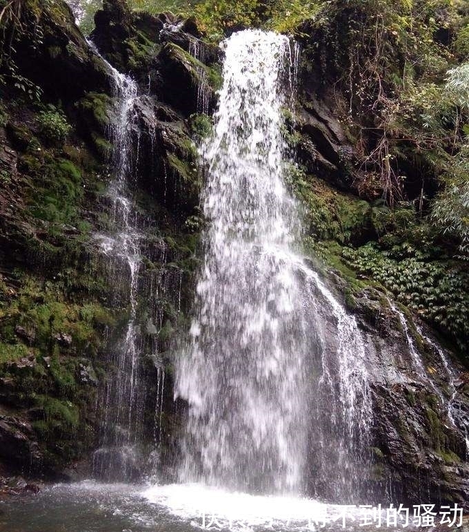 避暑|中国最美峡谷风景区-卧龙谷 最高的避暑休闲、清心养身的天然胜地