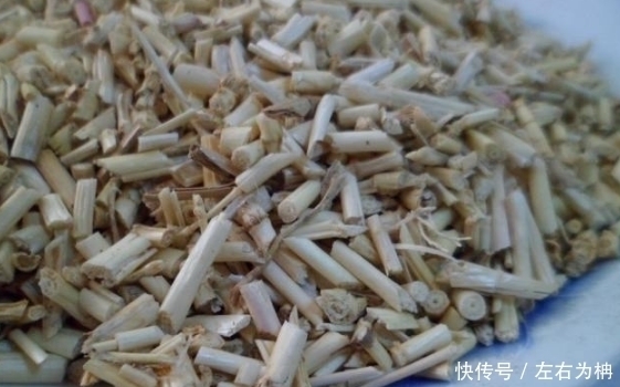 藥用價值|勾起農村娃兒時的回憶，除口臭、解酒毒、養胃降壓的野草！
