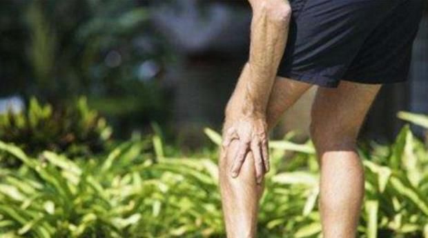 上了年纪骨质疏松,4种食物没事吃一点,强筋骨比钙片效果还好