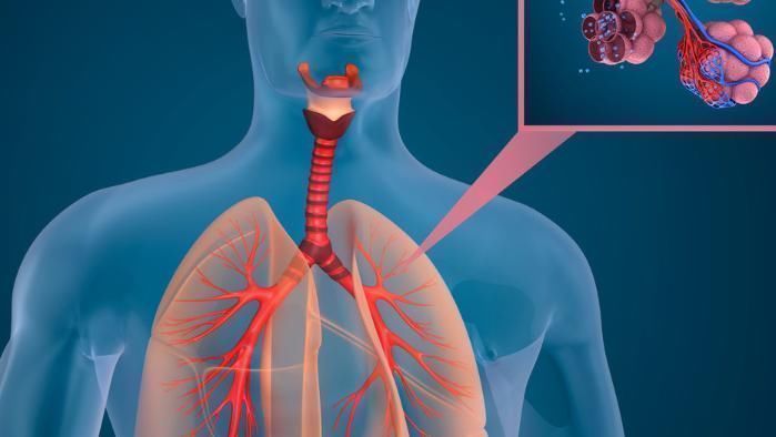 鳞状细胞|4个关于肺癌的真相,听完你可能会感到意外,一起来了解一下