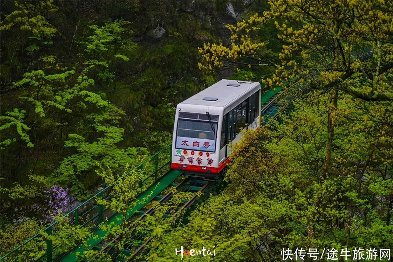 别墅|庐山三日行，追梦三叠泉