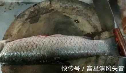 鱼片|鱼肉片怎么上浆教你5分钟学会,鱼肉嫩滑无腥味好吃又美味!