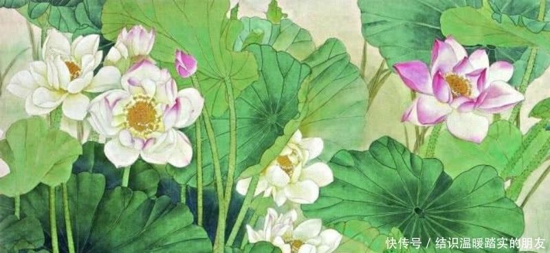 名篇&杨万里最经典的一首诗,每年收录进课本,每读一次都有不同的感悟