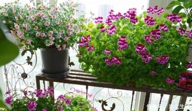 膝盖|女性膝关节比男性早“坏”10年？2个小动作，让膝盖多用30年！