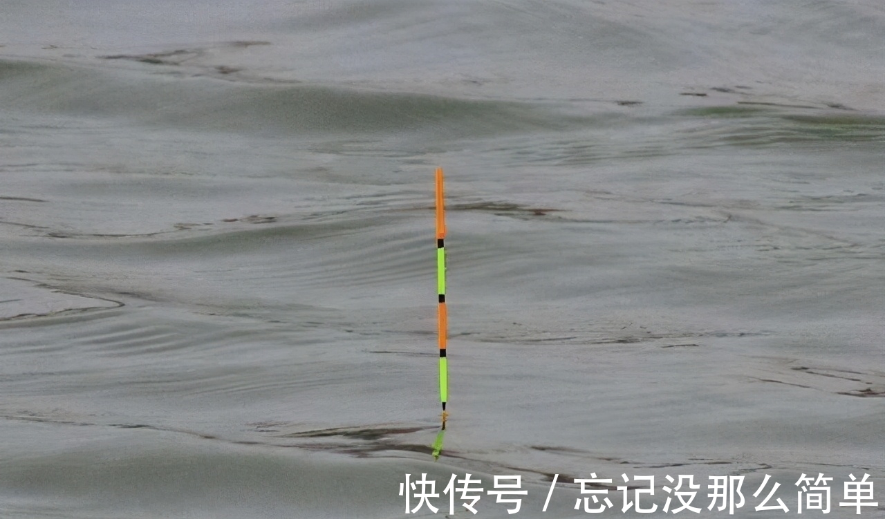 鱼口杂乱无实口,调低钓高这么调,马上竿竿都是死口