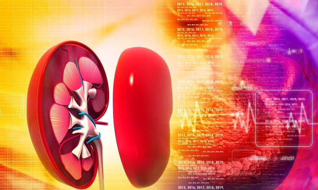 肾脏|肾病久治不愈中医专家留下“小方”,收藏起来