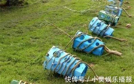 家具|头一次见这样子的家具，全身上下没有一颗螺丝，生产一把要10年