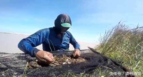 顺水|浑水中顺水捞鱼,有虾和鱼,网友:不应该逆水捞的吗?