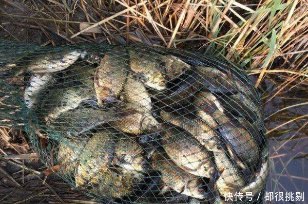冬季这两种天气钓鱼,90%会空军,而这种天气钓鱼会爆护