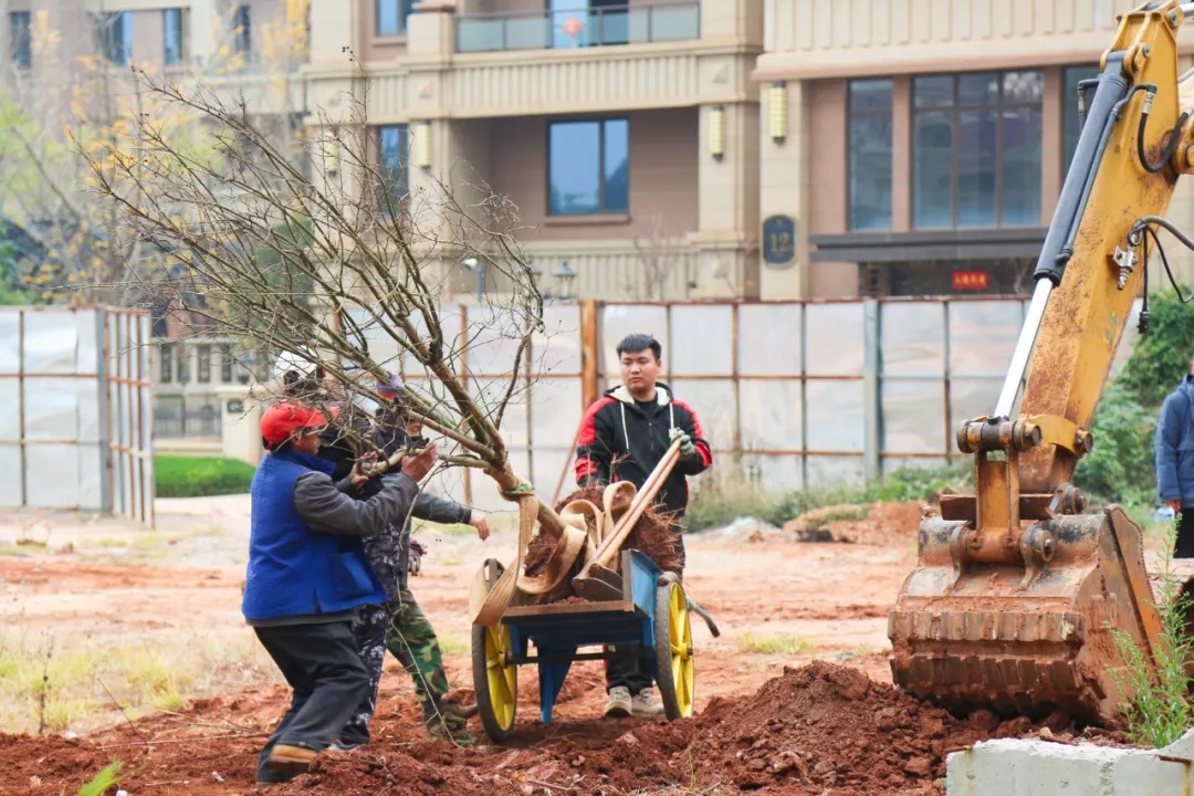 恒大城|昆明恒大昆海湖复工!