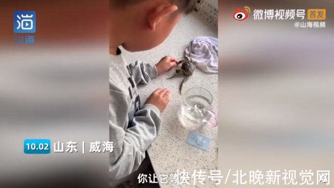 螃蟹|萌化！男童被螃蟹夹手哭着让它冷静