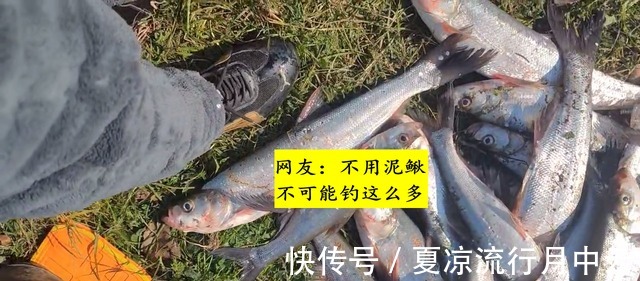泥鳅钓法浙江钓友半天钓几十条大翘嘴鱼,网友你吃得完吗!