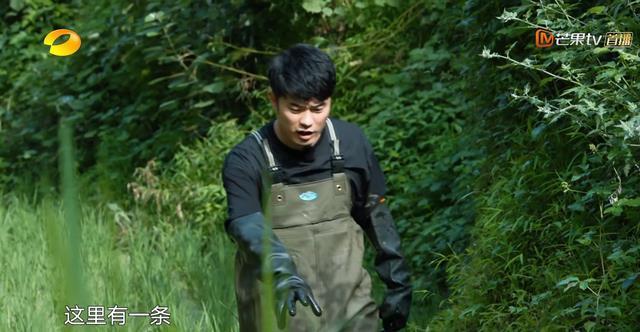 张子枫|《向往5》杀青,5位常驻仅一人发文告别,刘宪华未能回归成遗憾?