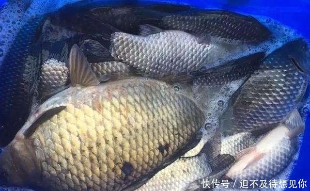 接下去|揭秘钓鱼骗局!别看它骗术低级,总有大把钓鱼人上当