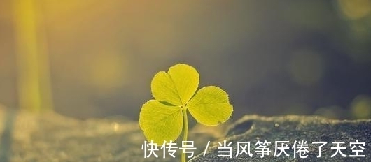 表象|儒雅只是一种表象，其实霸气冷傲的星座，深沉机敏，喜欢隐藏自己