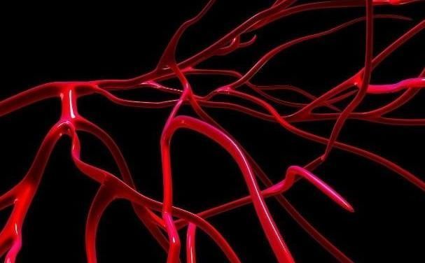 血栓|此物是通血管的“功臣”,每样都是血栓“对头”,让血管更轻松