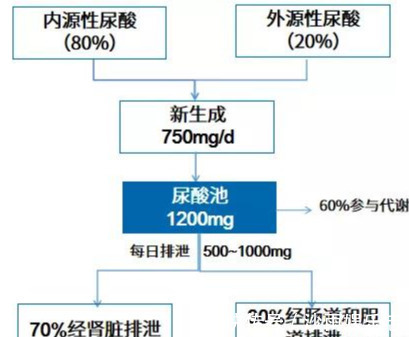 苏打水|痛风患者,喝柠檬水、苏打水能把尿酸降正常吗医生告诉您