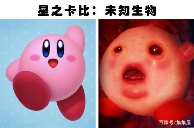 童话里不是骗人的?细数7种与卡通角色非常神似的现实动物