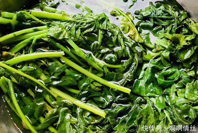 多数人只吃根茎,其实叶子才是宝贝,现在正上市,不懂吃可惜了!