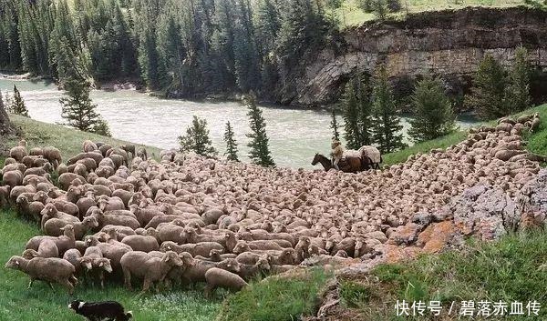  《断背山》讲的不是同性恋，而是爱