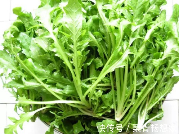 马齿苋|10种野菜辨别图，遇见了记得摘回家，再不摘点尝尝，下个月就老了