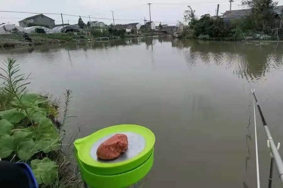 深秋“对付”草鱼,我就只认这3招,莫不信,一般人学不会