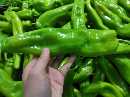 不辣|买尖椒时，直的辣还是弯的辣？菜农：辣不辣看“3处”，别挑错了