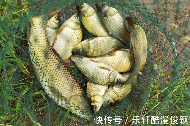 冬至后钓鱼!不要盲目下竿!学会2个技巧!绝对不是“空军”!