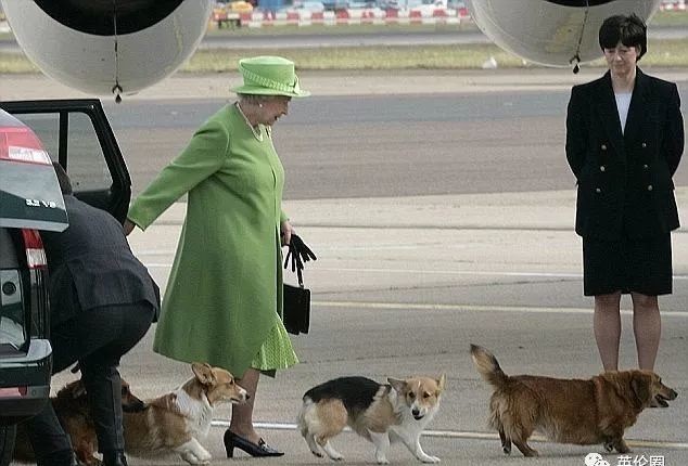 仇恨|93岁的女王,今天也是拉仇恨的一天呢!