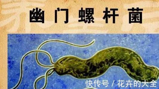 幽门螺旋杆菌|它是“天然胃药”，每天一杯，“消灭”幽门螺旋杆菌，更养胃
