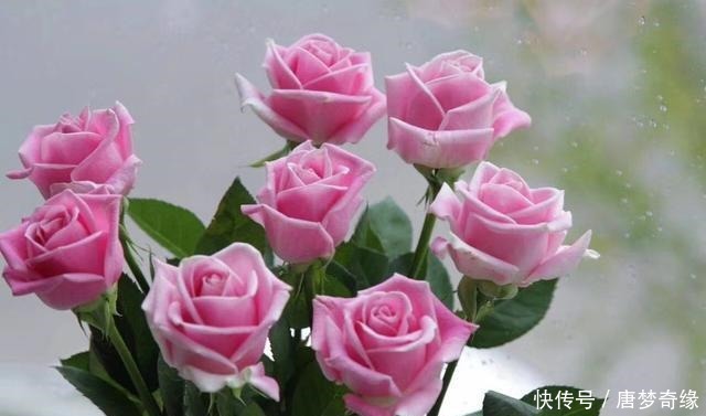 郑云龙 郑云龙谈爱情的标准,理想的爱情有三个特点