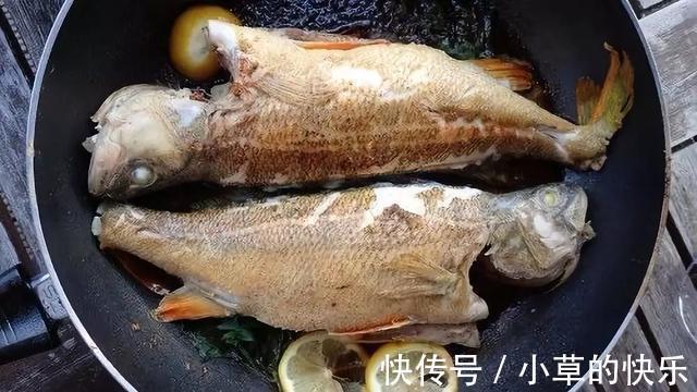 亚硝酸盐|5种鱼或含甲醛和重金属，建议少吃为好，不妨看看有你爱吃的吗？