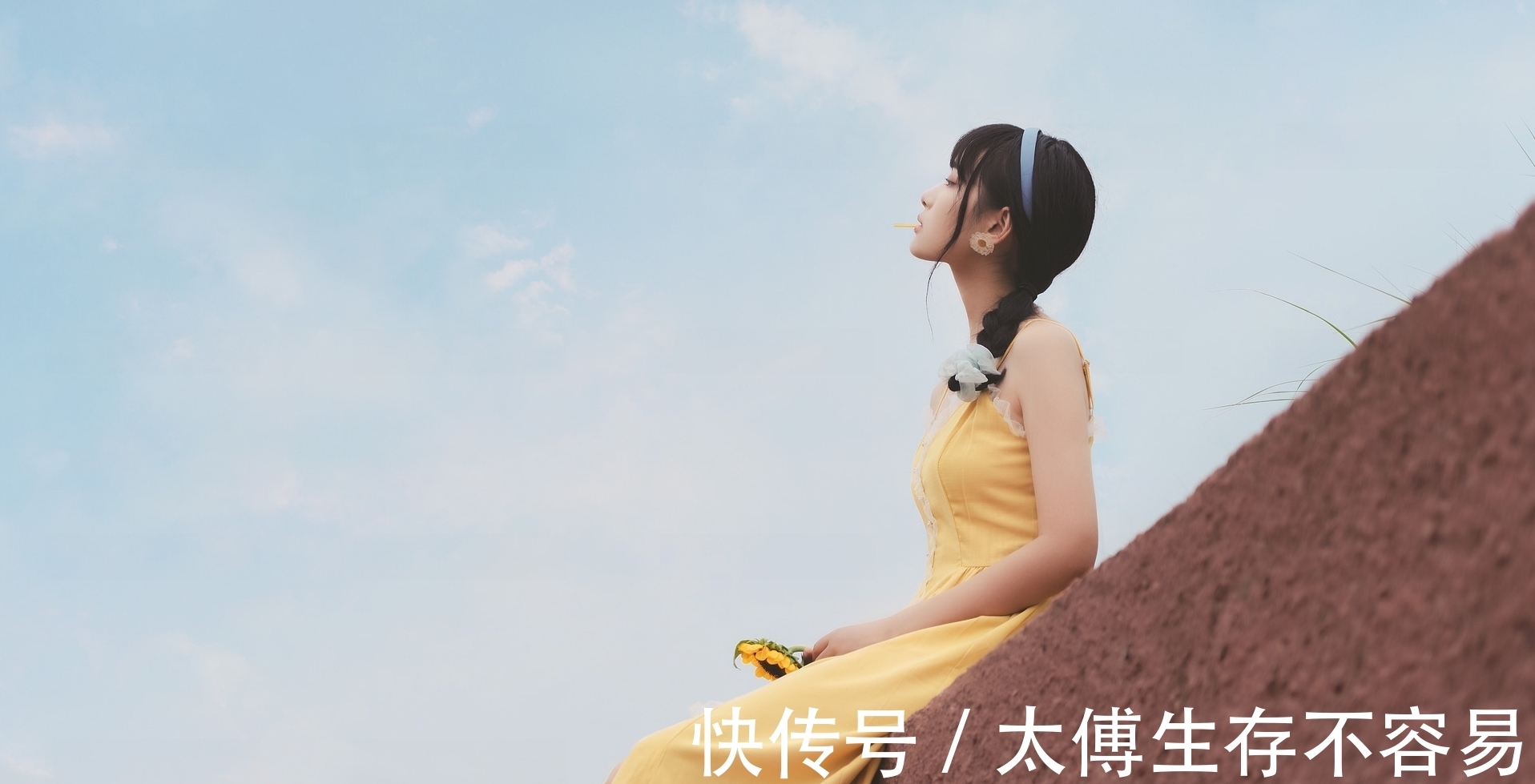 佳句|菊花·七绝与七律:几番辗转寻佳句,金甲满城书丽章