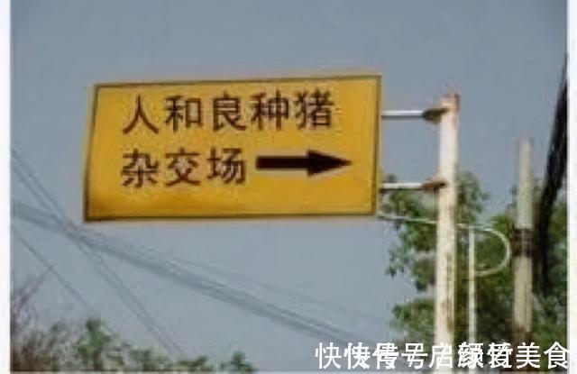 |谁说中国人不幽默?看看这些标语,太逗了简直