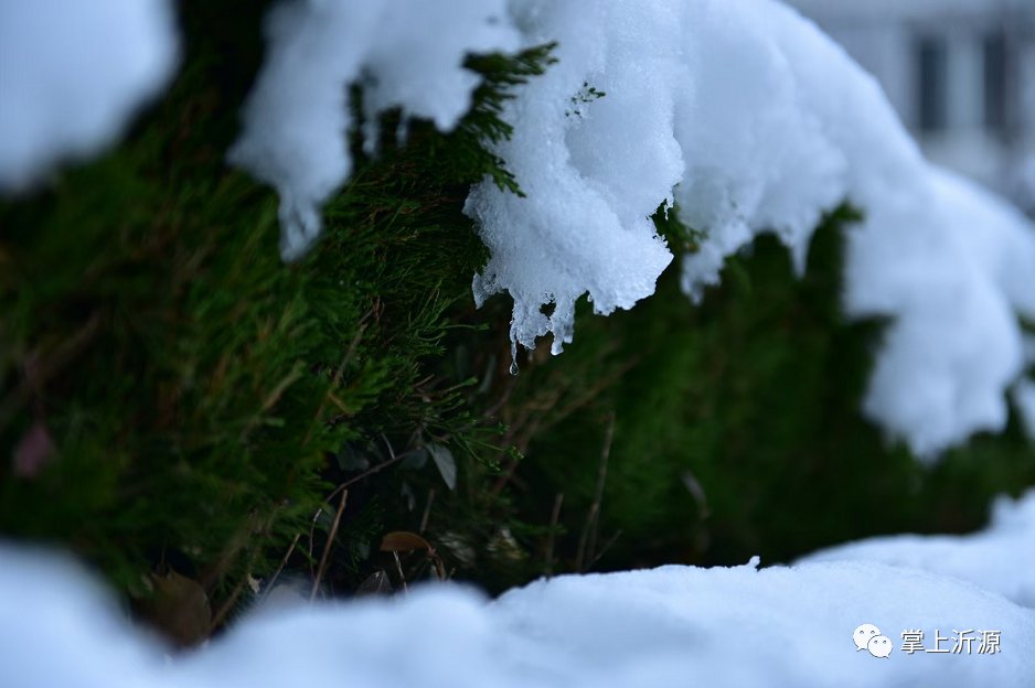 初雪来袭：你在朋友圈晒雪景，我在雪中守护你