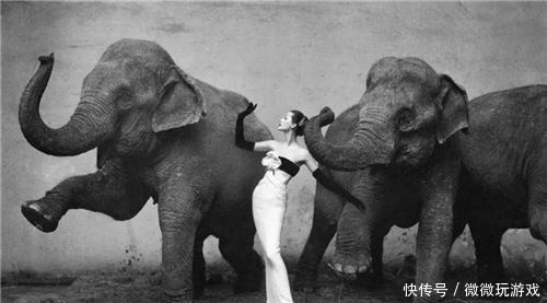 拍摄|50年代最贵超模一组照片卖出745万,为何晚年沦落到做服务员