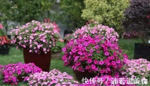 郁金香|7个绝美花园,个个美炸了天,等有钱了我也要建一个