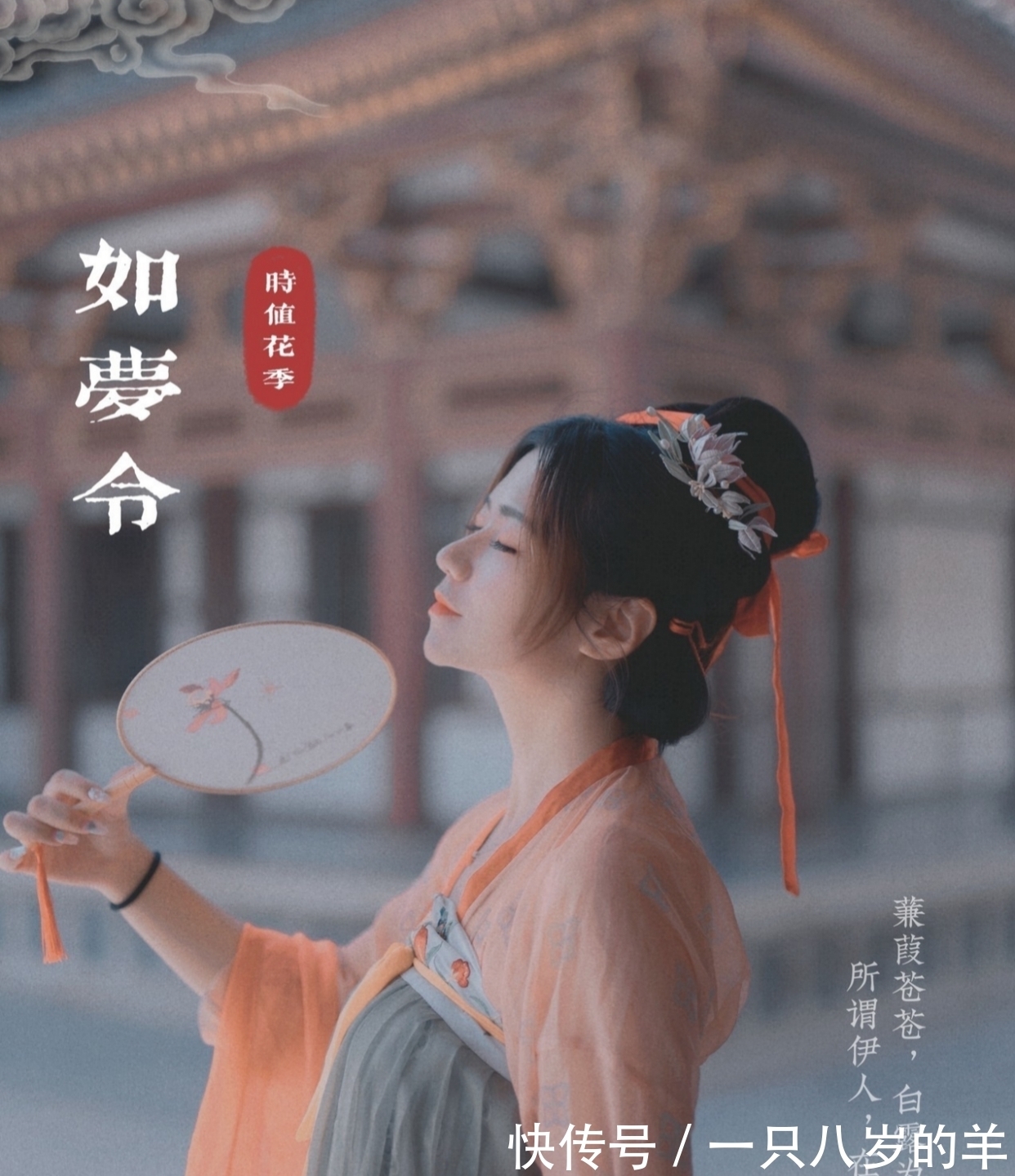 雏子&七言绝句:慈母手中线