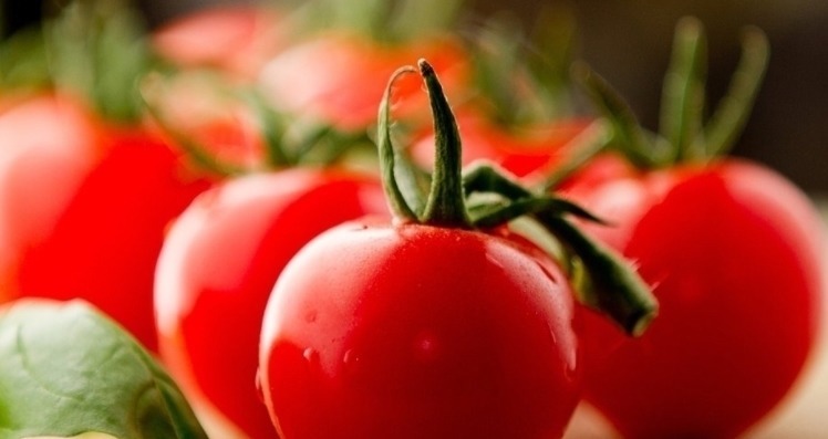 皮肤|西红柿与此物是天生的好搭档,常吃气血足了,皮肤白了,视力好了