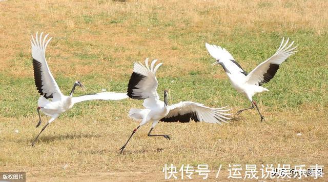 认知障碍|60岁以后,5件事不得不怕、不得不防!记住,并转告给老友们