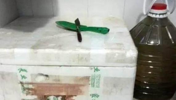 养花神器泡沫箱这般制成自动浇水箱、堆肥箱，省劲、实用！