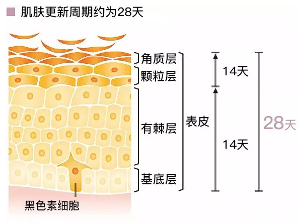 me|ME明亮饮:美白精华没效果?可能你做的都是无效美白