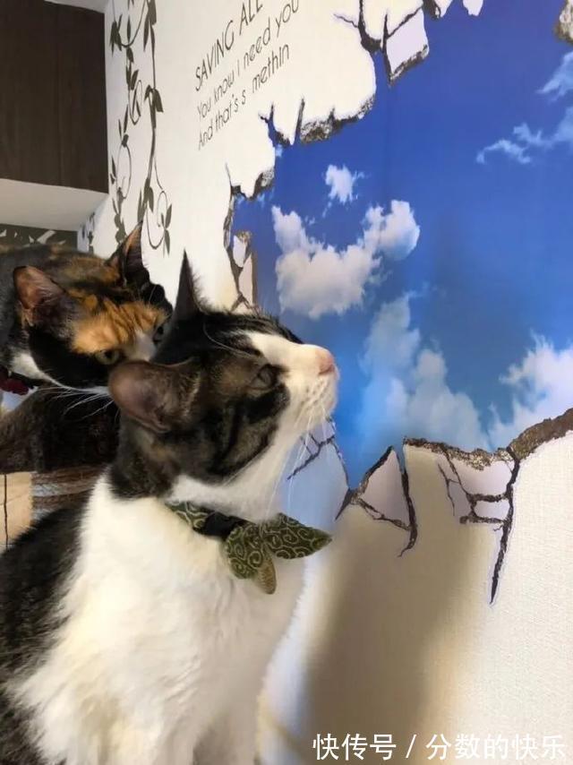 |朋友在你脱单路上的重要性 冷段子1794