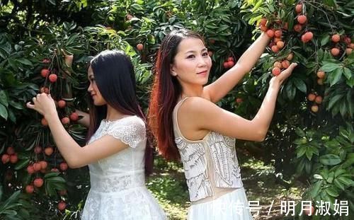 酸枣仁|长期失眠，睡眠质量不好？日常多吃以下5宝，一觉酣睡到天亮