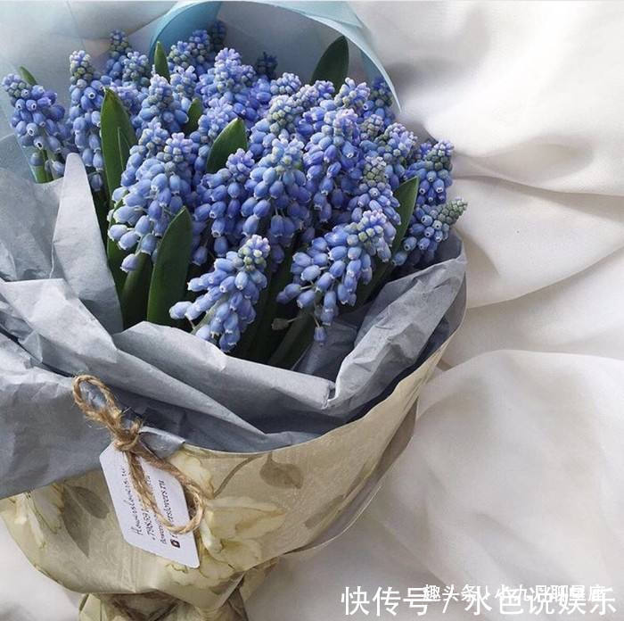 缺点|家中同时有这三个生肖,是上上配家庭,家业兴旺,人丁兴旺