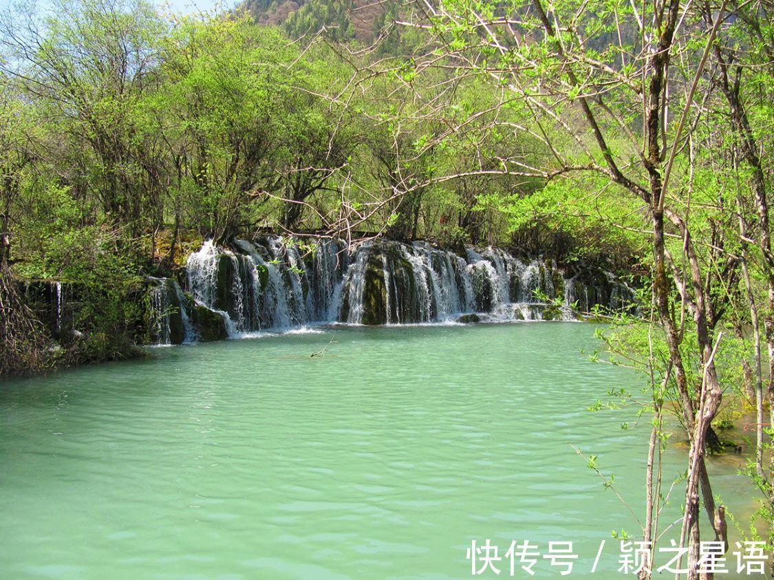 瀑布|游历九寨沟，乘观光车至箭竹海，沿步道赏遍九寨精华